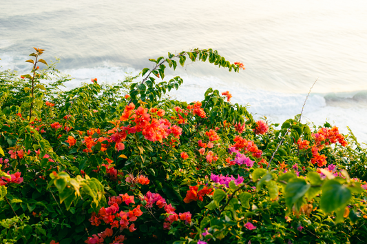 8. Balinese Floristry